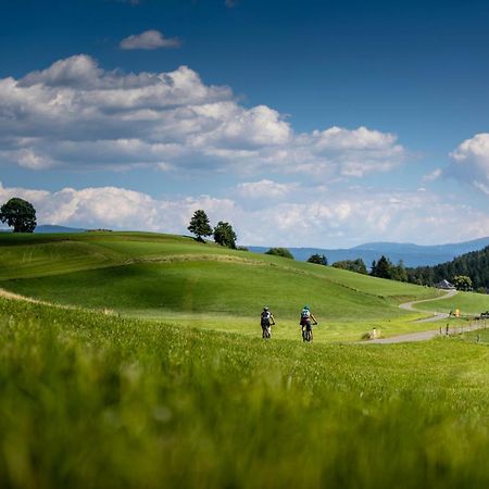 Gartenloft An Der Mur Murau Buitenkant foto