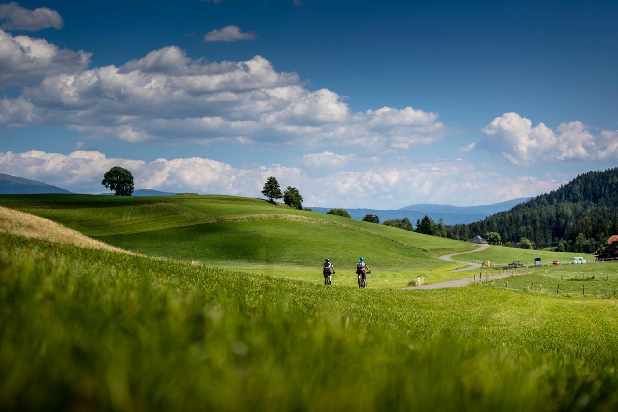 Gartenloft An Der Mur Murau Buitenkant foto