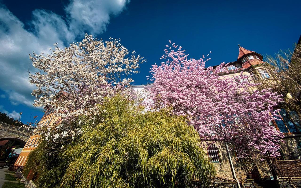 Gartenloft An Der Mur Murau Buitenkant foto