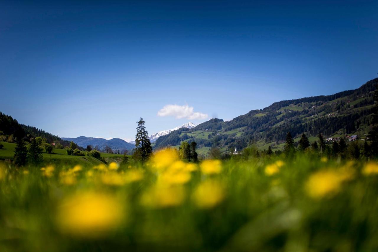 Gartenloft An Der Mur Murau Buitenkant foto